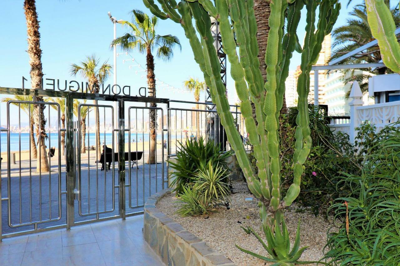 Don Miguel 1 18-A Levante Beach Apartment Benidorm Eksteriør billede